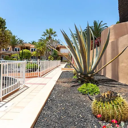 Solapartment * كوراليهو