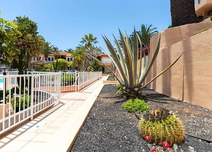 Solapartment * كوراليهو