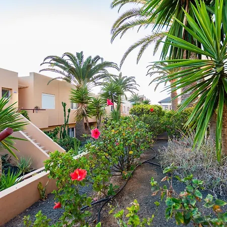 Solapartment Apartment Corralejo